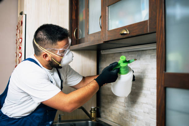 Pest Control Cost in Dobbs Ferry, NY