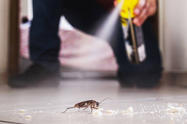 Best Pest Removal Services  in Dobbs Ferry, NY