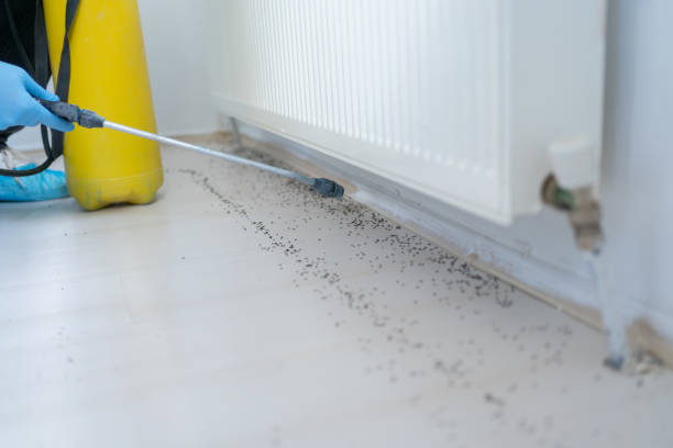 Best Residential Pest Control  in Dobbs Ferry, NY